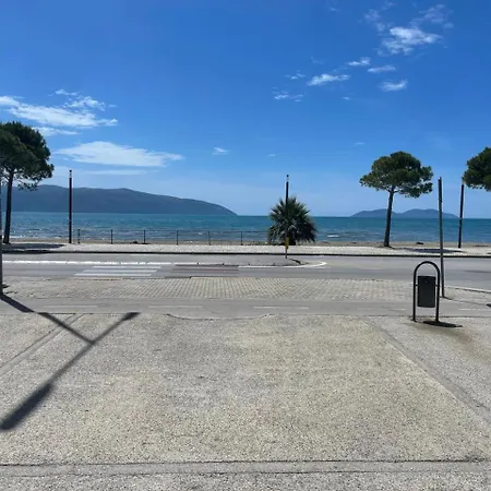 Gabri * Polisi i Vogel